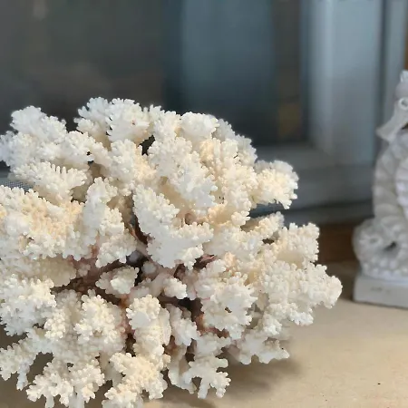 And Sveti Jakov Dubrownik