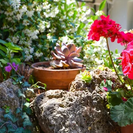 And Sveti Jakov 3* Dubrownik